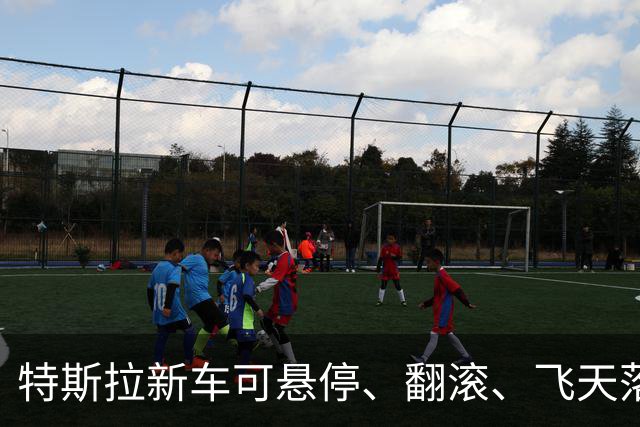 特斯拉新车可悬停、翻滚、飞天落地，预订意向金33.2万元