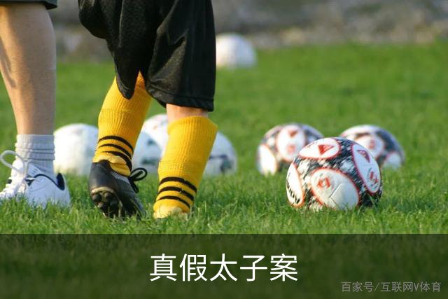 真假太子案